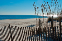 Orange Beach AL sand and calm Gulf waters