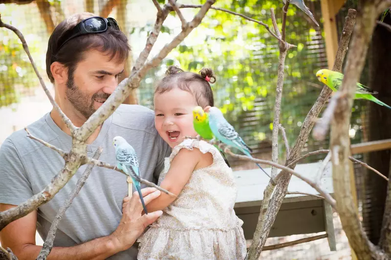 $400 In FREE Daily Activities!