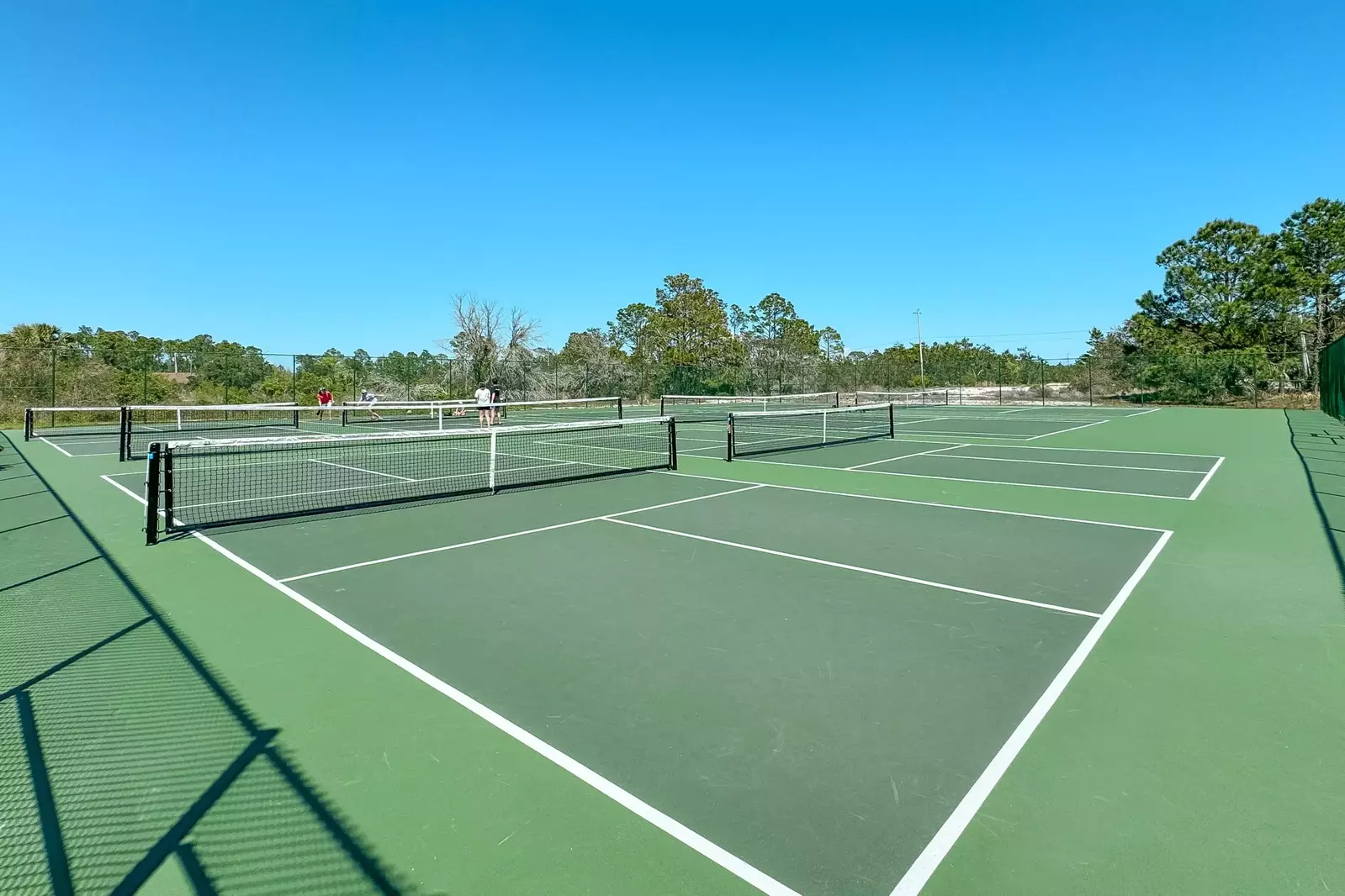 Gulf Shores Plantation East 2102