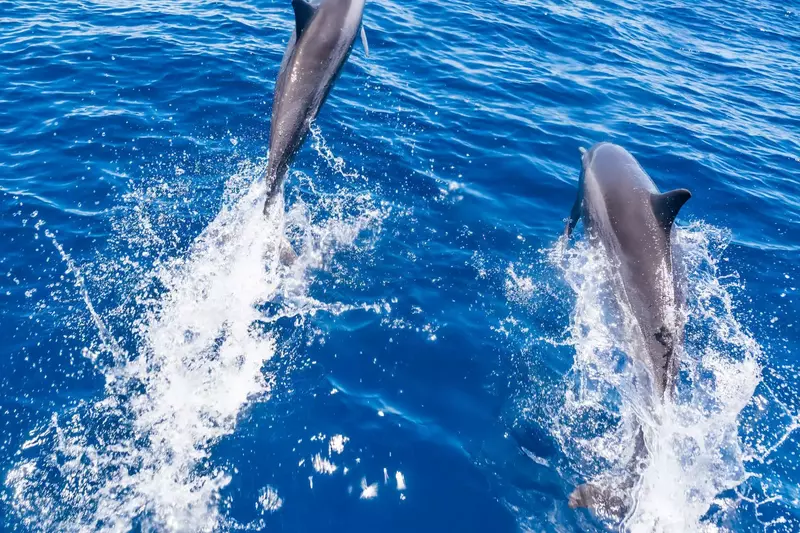 $400 In FREE Activities Daily!