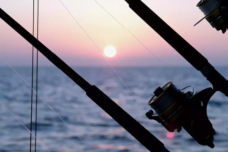 $400 In FREE Activities Daily