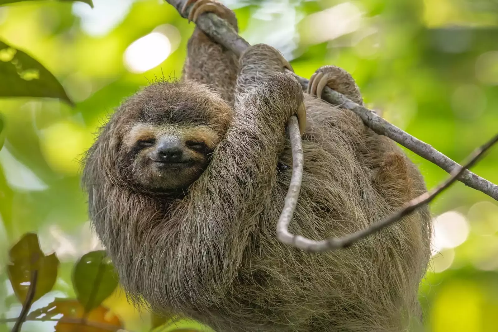 $400 In FREE Activities Daily!