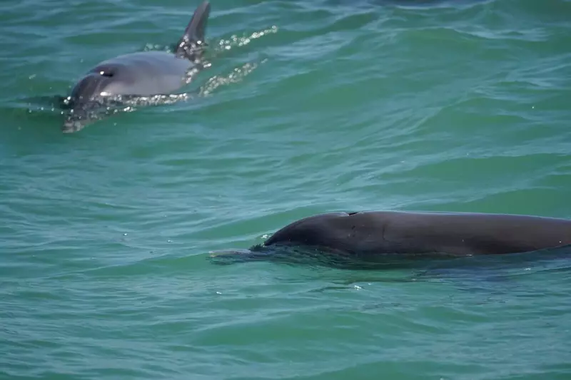 $400 In FREE Daily Activities!