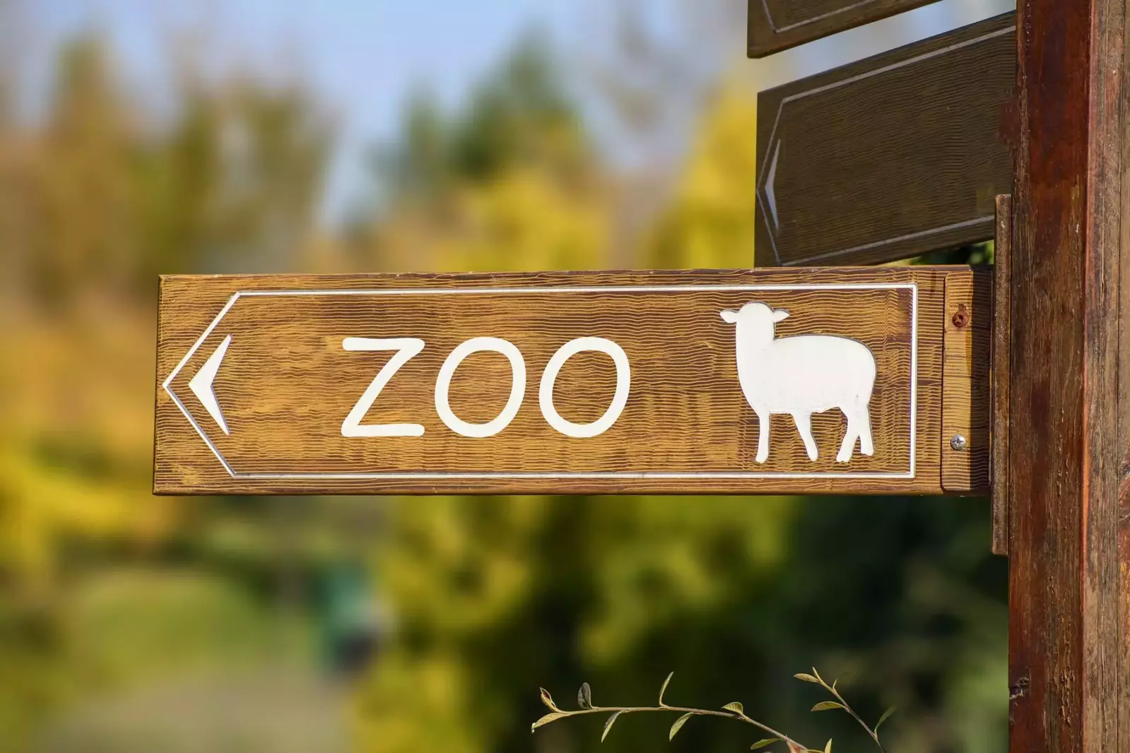 $400 In FREE Daily Activities!