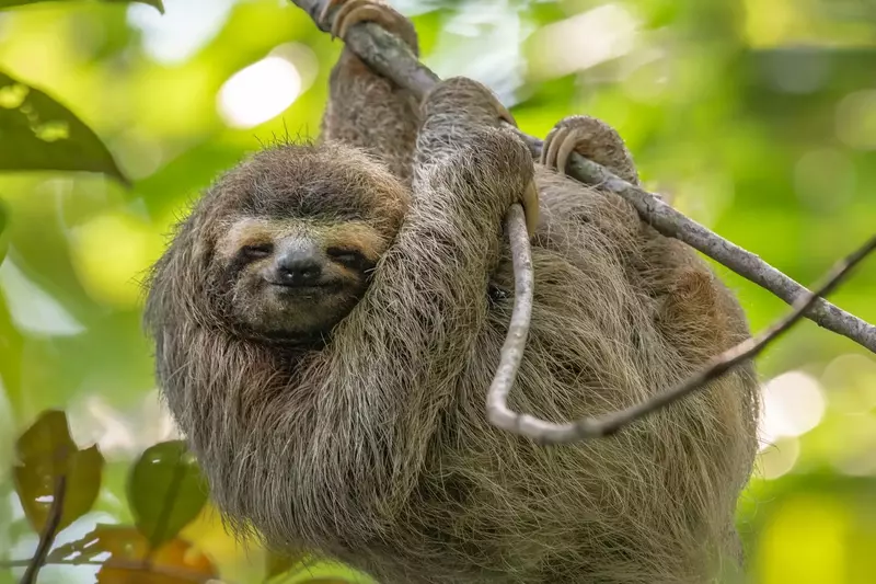 $400 In FREE Daily Activities!