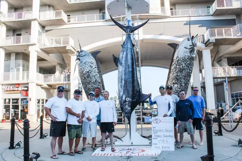 Blue Marlin weigh in at The Wharf