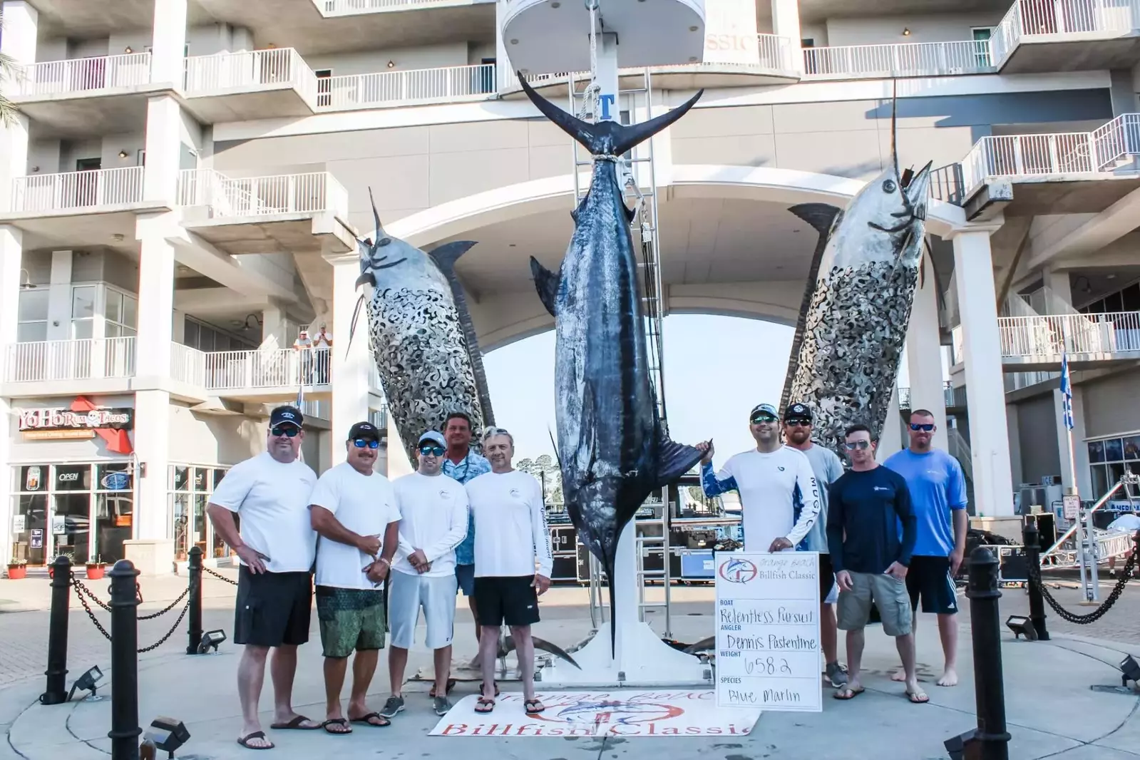 Blue Marlin weigh in at The Wharf