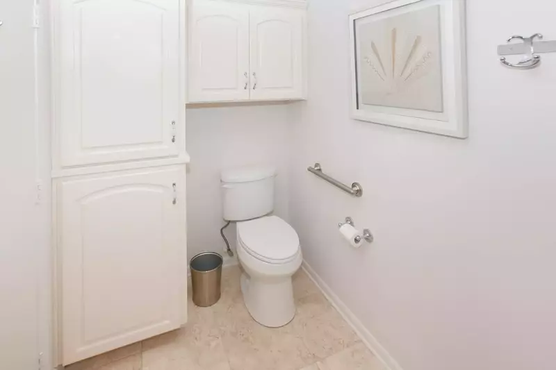 Guest bath commode