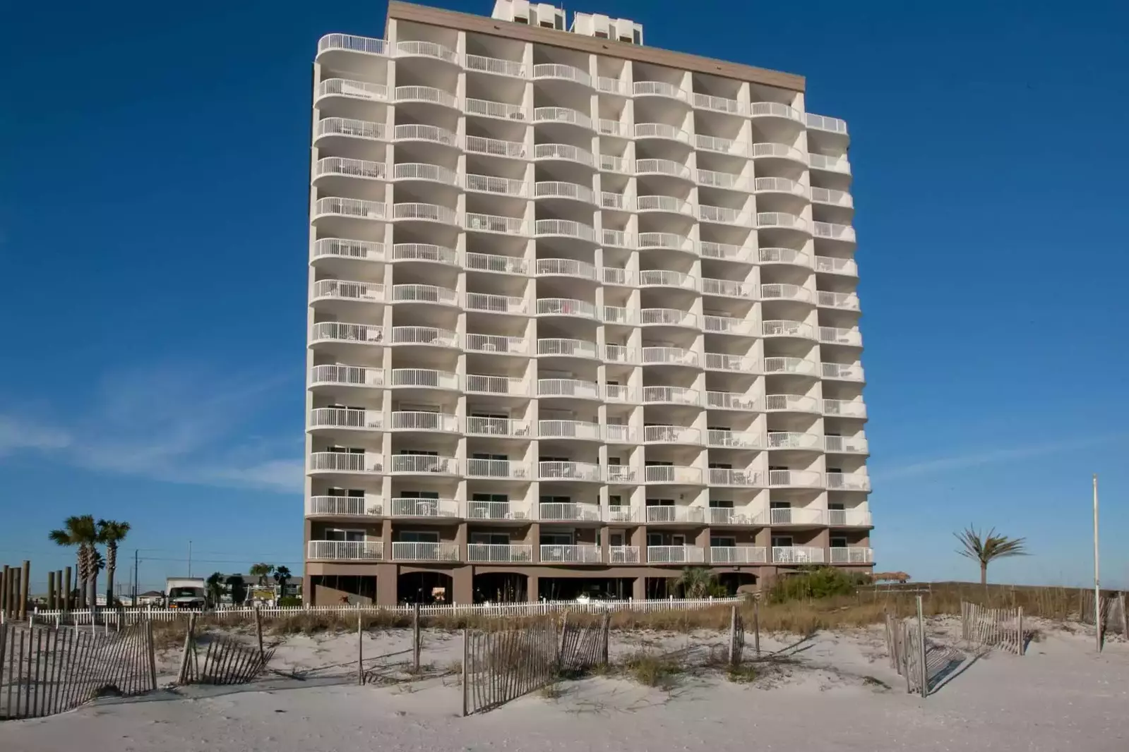 Royal Palms from the beach
