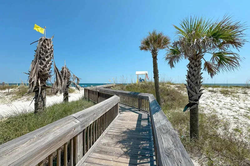 Seashore Dunes