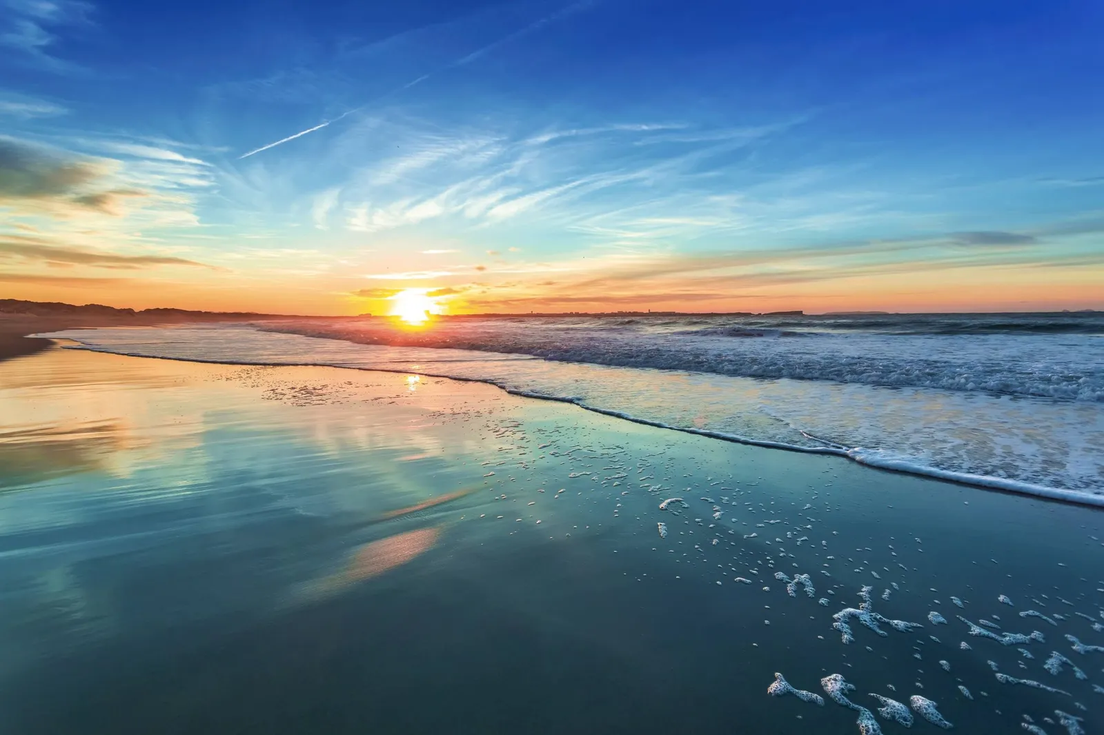 Tropical Winds 402